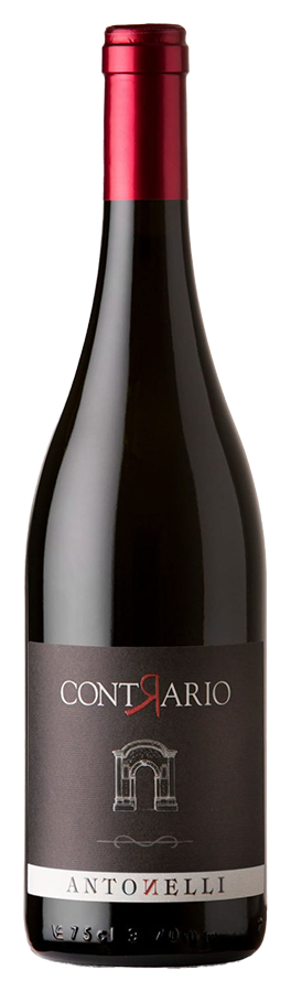 Contrario Rosso von Antonelli San Marco - Flasche Rotwein Biologisch aus Umbrien