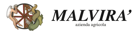 Logo des Weinproduzenten Malvirà aus  dem Piemont