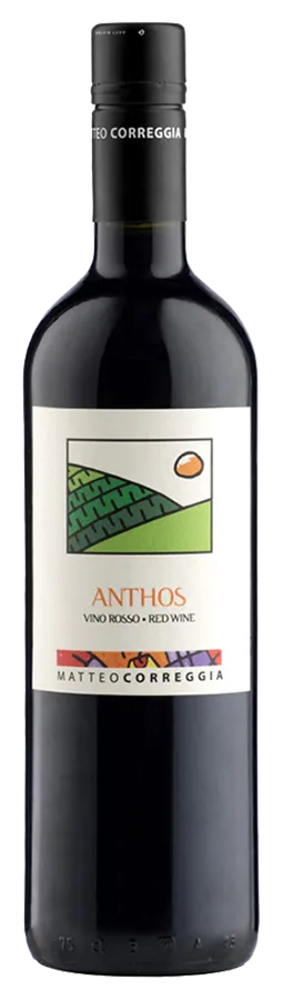 Bracchetto delle Langhe Anthos von Matteo Correggia - Flasche Rotwein Biologisch aus dem Piemont