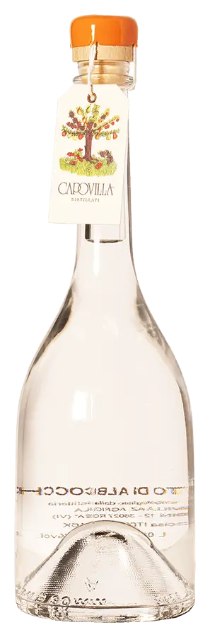 Distillato di Albicocche von Capovilla Distillati - Flasche Acquavite aus Venetien