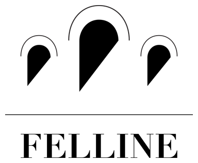 Logo des Weinproduzenten Felline aus Apulien